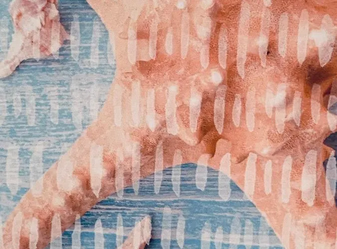 64, Vista Lobos, Private Heated Pool X Jacuzzi,