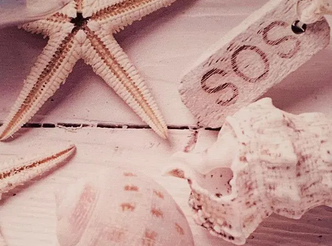 64, Vista Lobos, Private Heated Pool X Jacuzzi, *